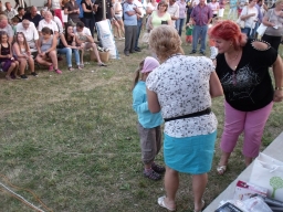 falunap2013_235_20180901